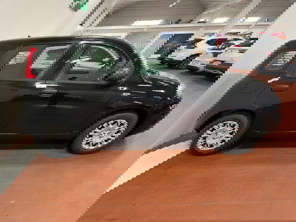 Fiat Pandina nuova a Lucca (4)