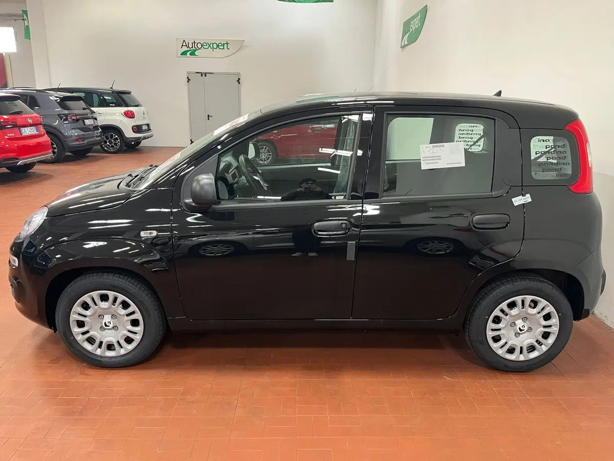 Fiat Pandina nuova a Lucca (5)