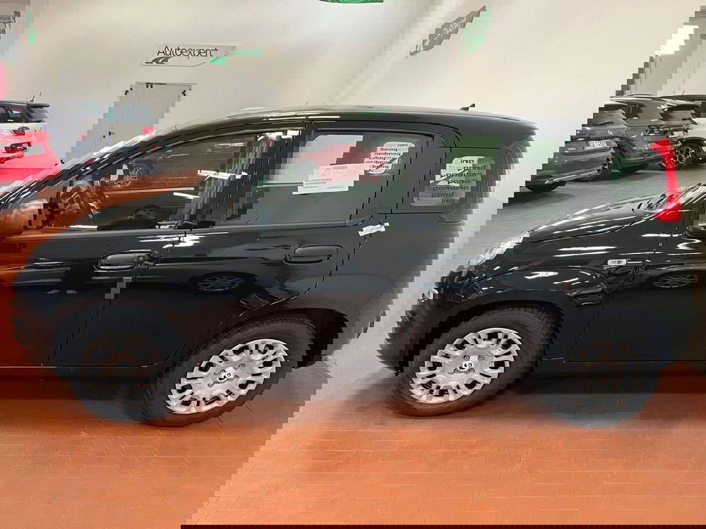 Fiat Pandina nuova a Lucca (5)