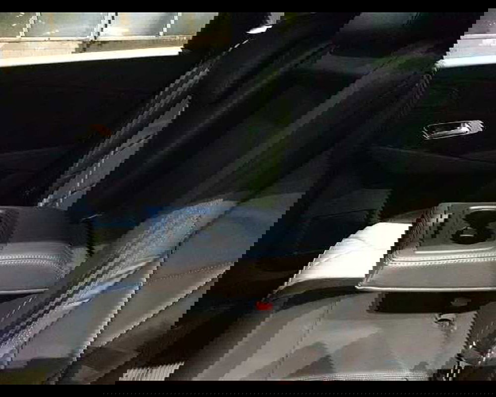 Ds DS 7 usata a Cuneo (15)