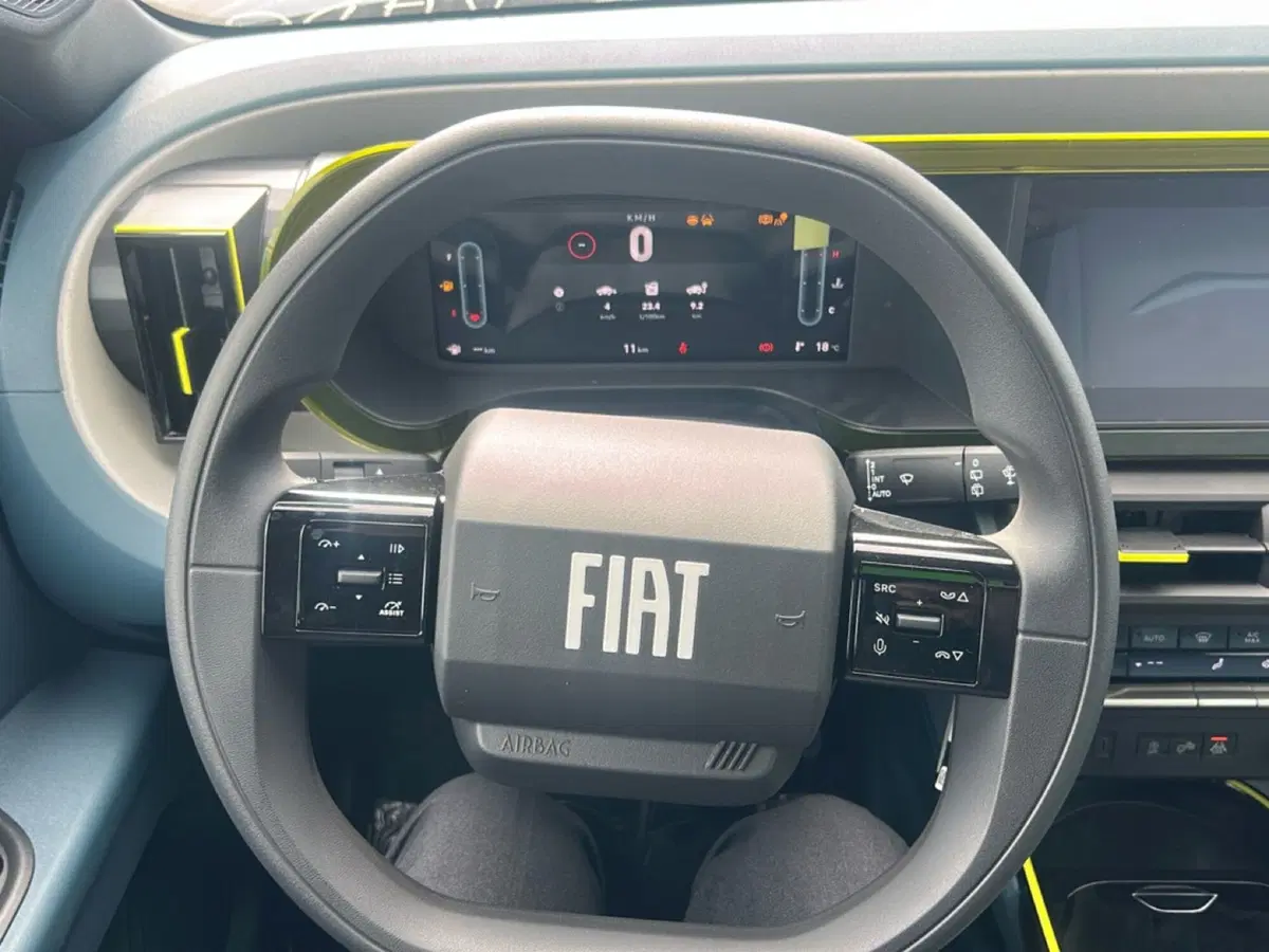 Fiat Grande Panda nuova a Bergamo (12)
