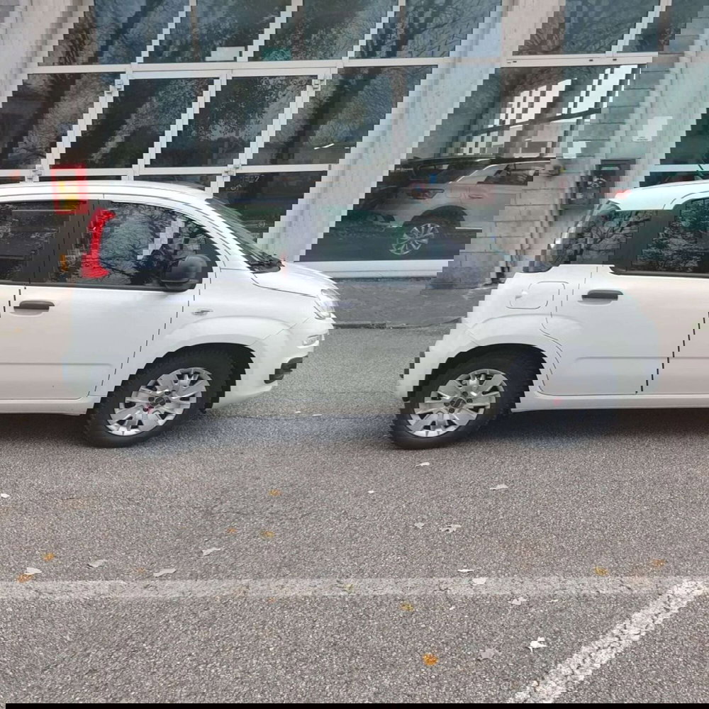 Fiat Panda usata a Padova (4)