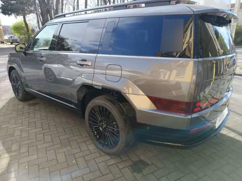 Hyundai Santa Fe usata a Parma (6)