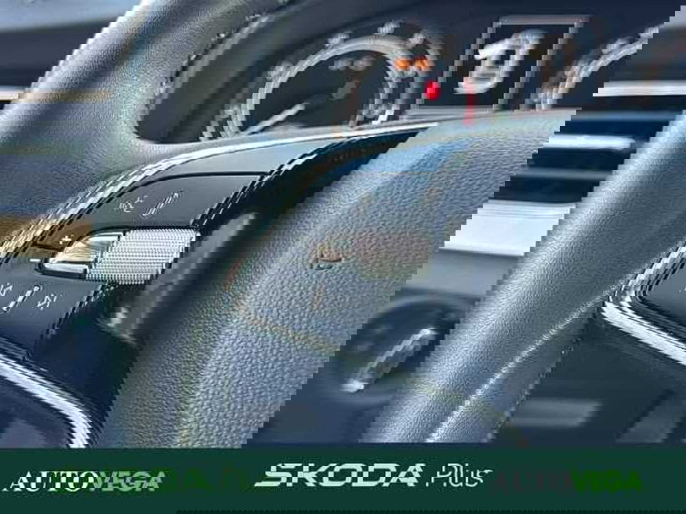 Skoda Kamiq usata a Vicenza (18)