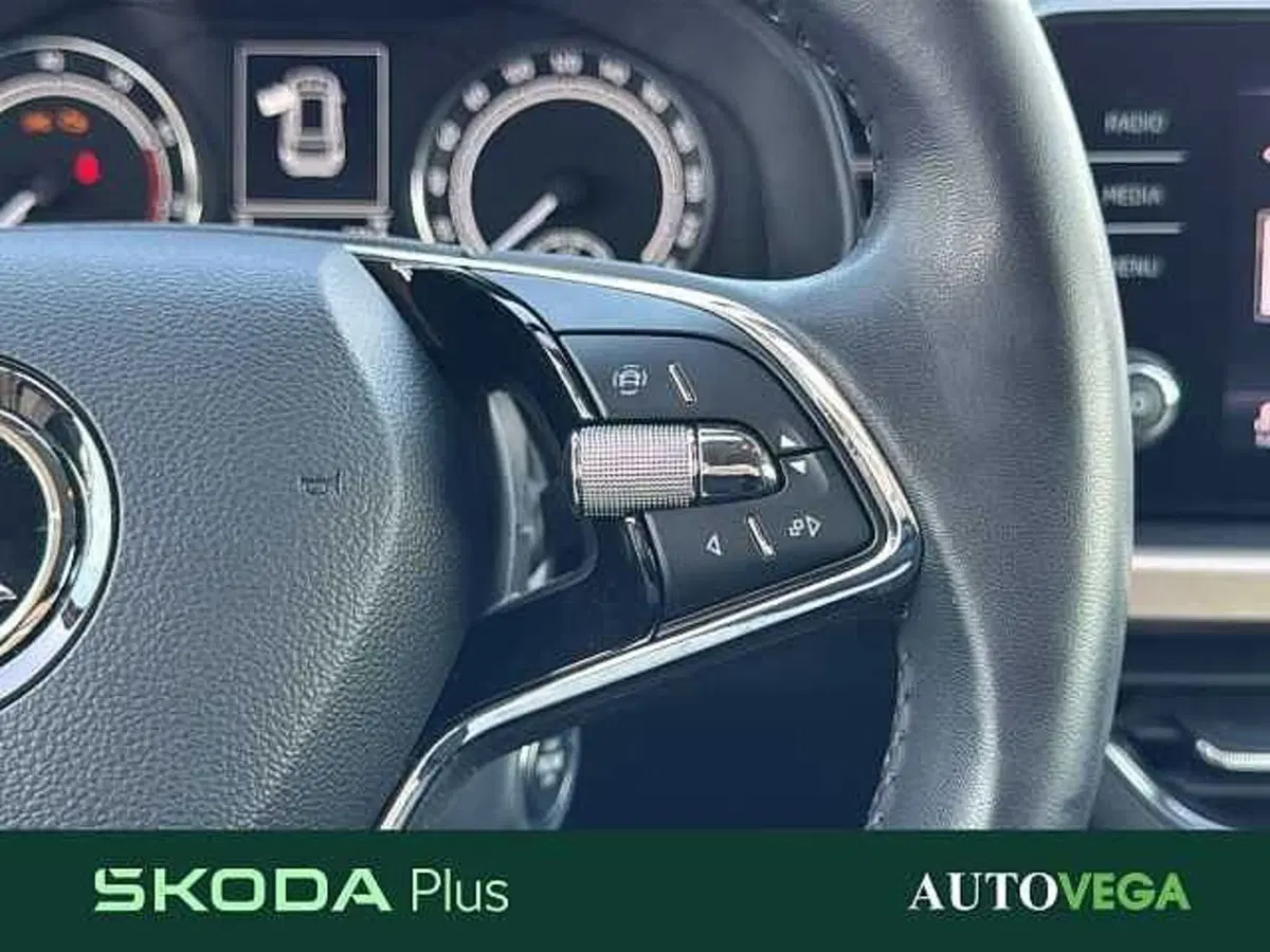Skoda Kamiq usata a Vicenza (19)