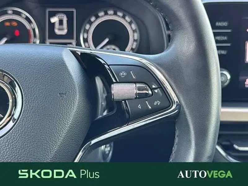 Skoda Kamiq usata a Vicenza (19)