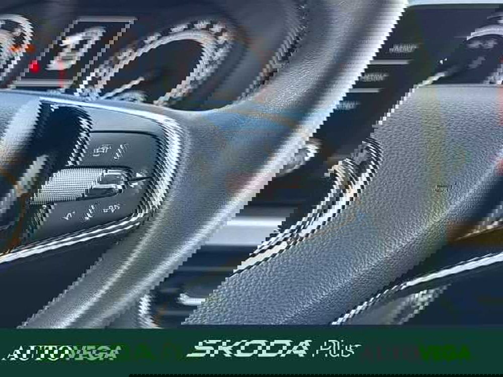 Skoda Kamiq usata a Vicenza (19)