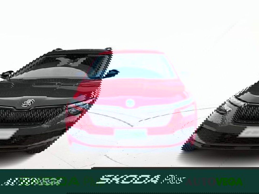 Skoda Kamiq usata a Vicenza (2)