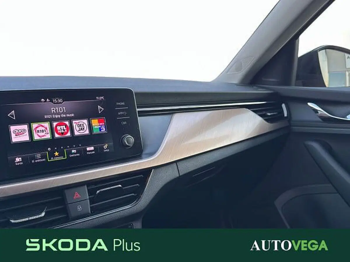 Skoda Kamiq usata a Vicenza (20)