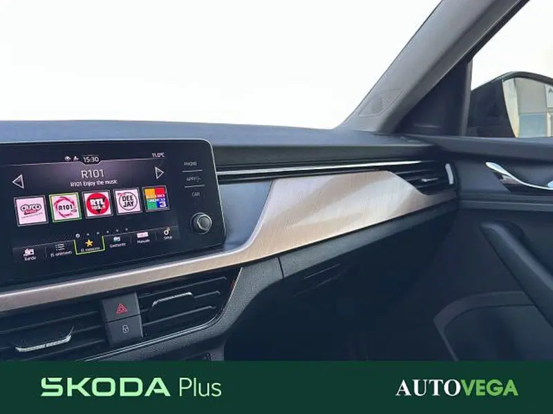 Skoda Kamiq usata a Vicenza (20)