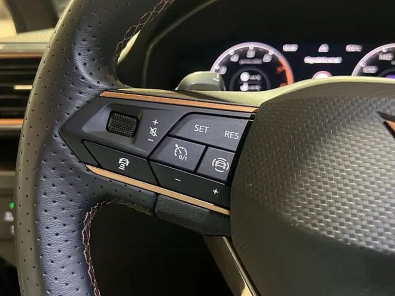 Cupra Formentor usata a Vicenza (17)