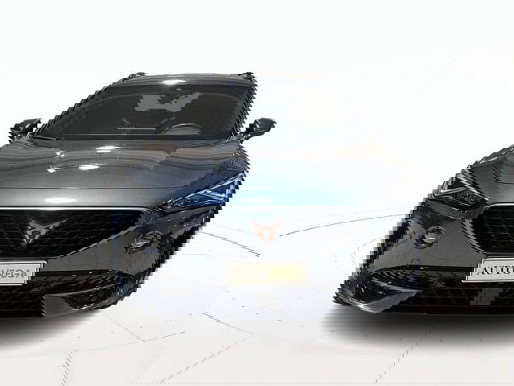 Cupra Formentor usata a Vicenza (2)