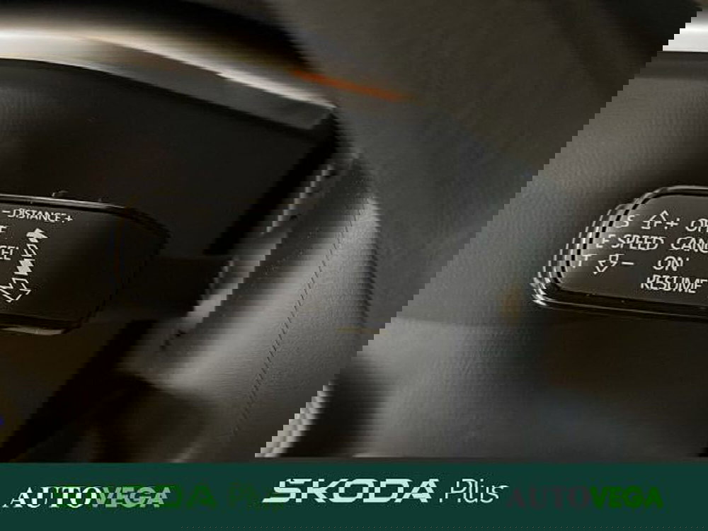 Skoda Karoq usata a Vicenza (16)