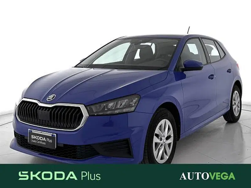Skoda Fabia usata a Vicenza