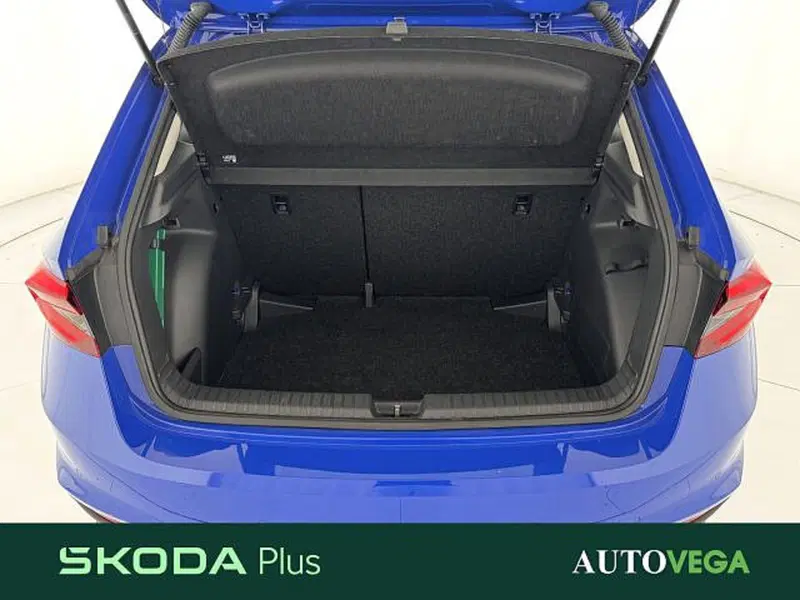 Skoda Fabia usata a Vicenza (10)
