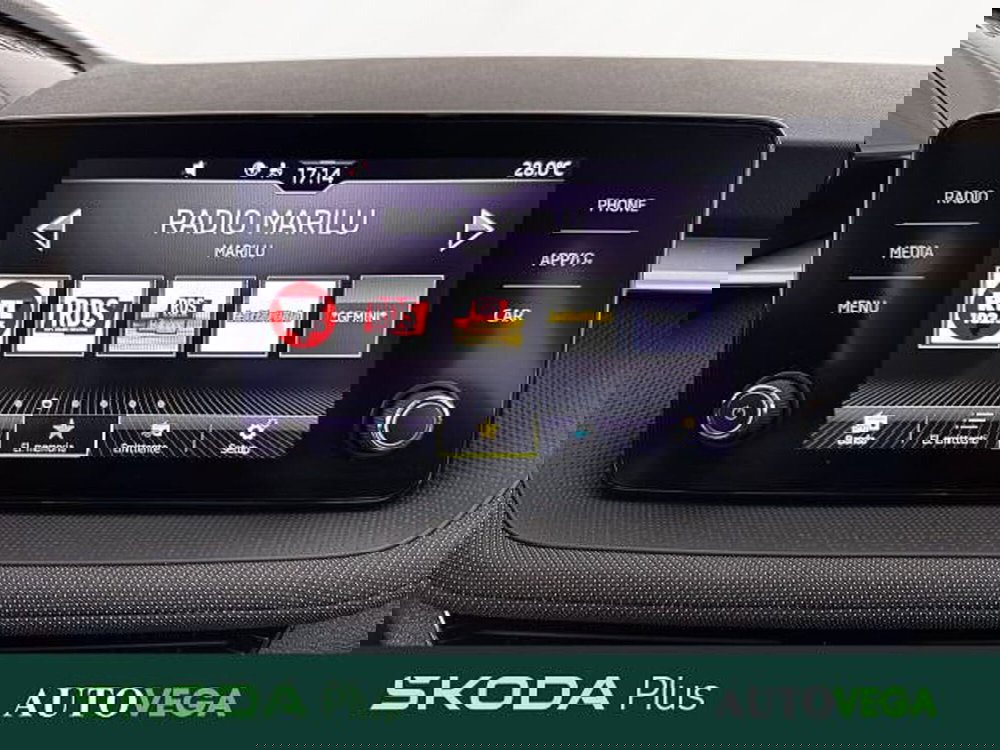 Skoda Fabia usata a Vicenza (13)