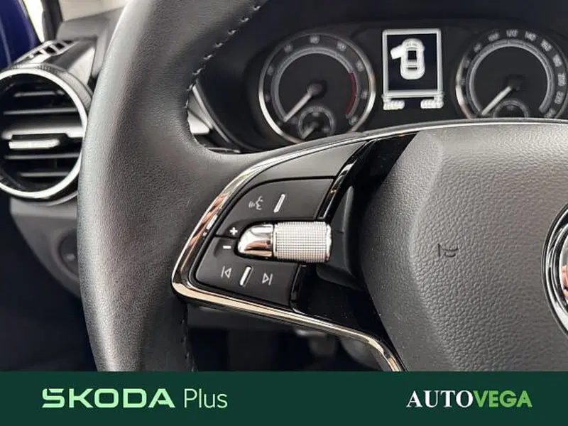 Skoda Fabia usata a Vicenza (17)