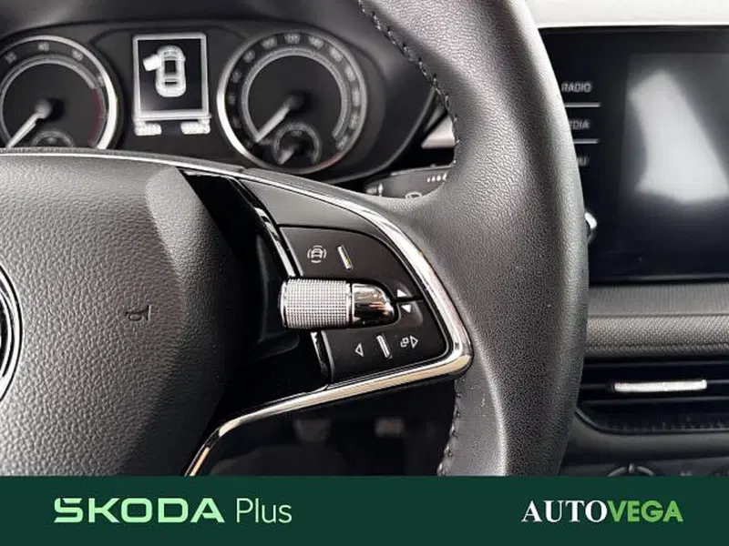 Skoda Fabia usata a Vicenza (18)
