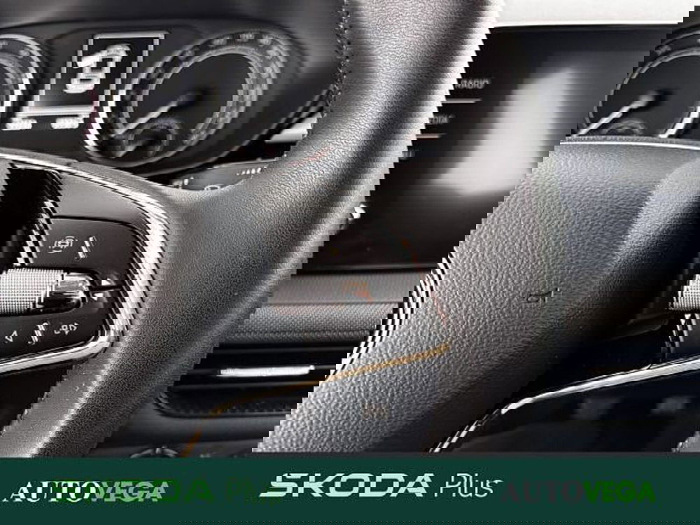 Skoda Fabia usata a Vicenza (18)