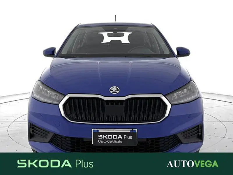 Skoda Fabia usata a Vicenza (2)