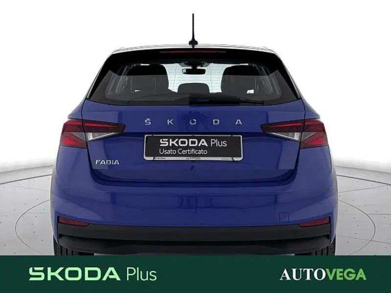 Skoda Fabia usata a Vicenza (4)