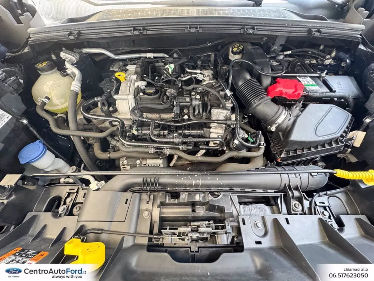 Ford Puma usata a Roma (12)