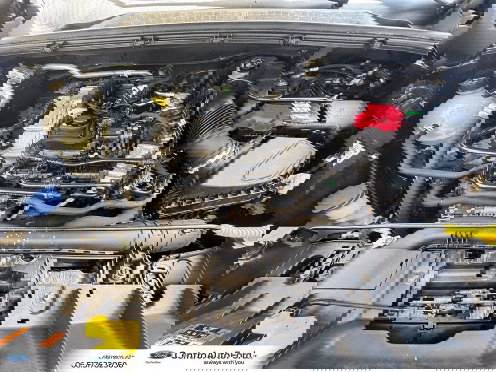 Ford Puma usata a Roma (12)