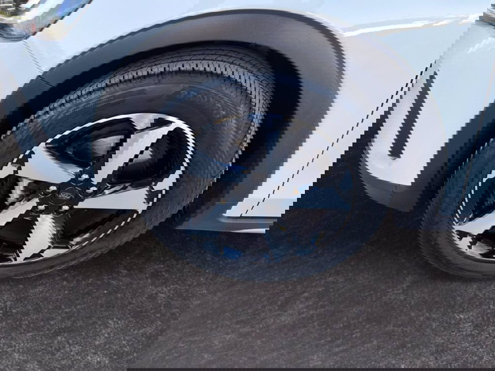 Ford Focus usata a Milano (9)