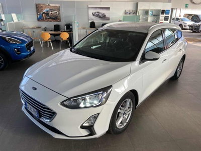 Ford Focus Station Wagon 1.5 EcoBlue 120 CV automatico SW Business Co-Pilot del 2021 usata a Imola