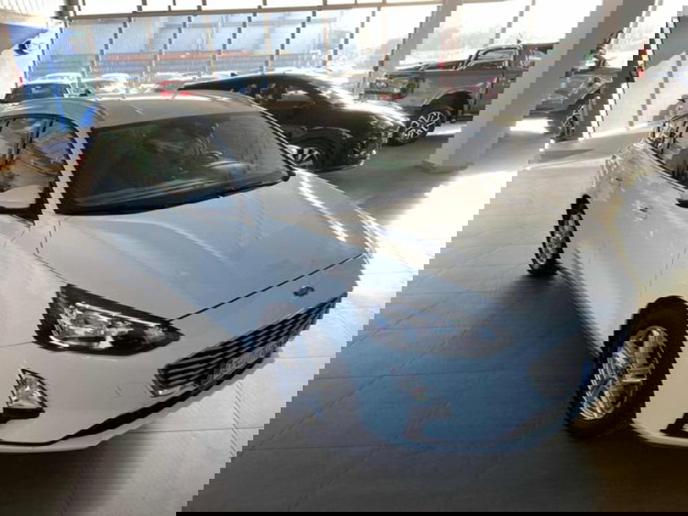 Ford Focus Station Wagon usata a Bologna (3)