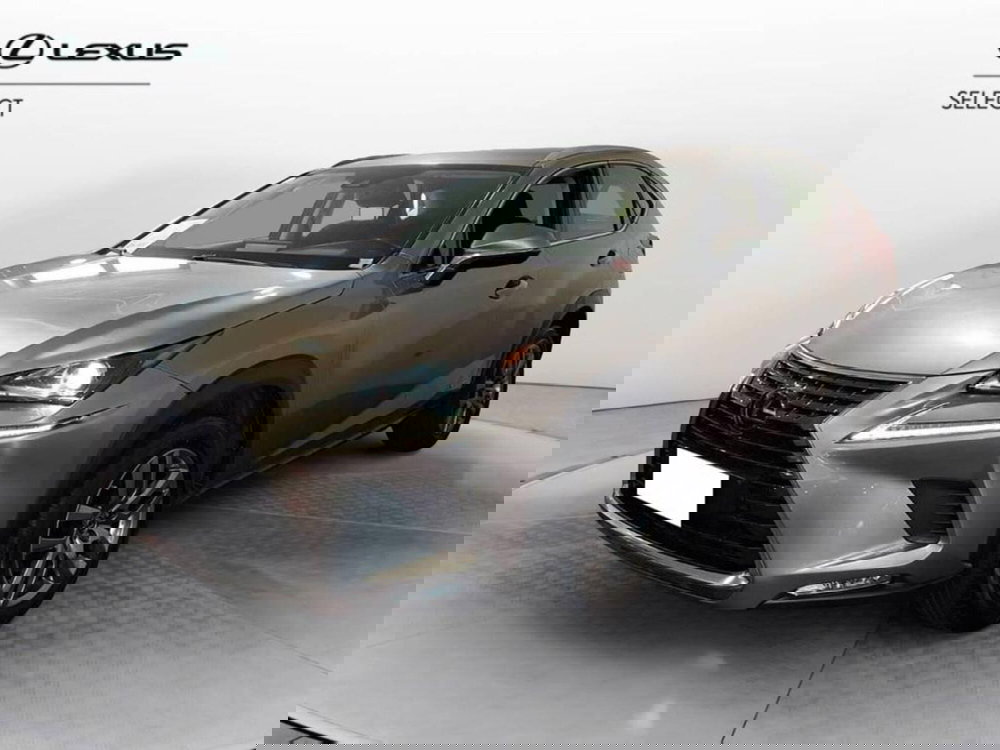 Lexus NX usata a Torino