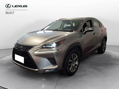Lexus NX 350h 2.5 Business 2wd e-cvt del 2020 usata a Torino