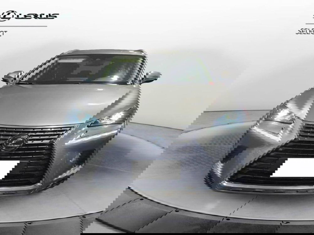Lexus NX usata a Torino (2)