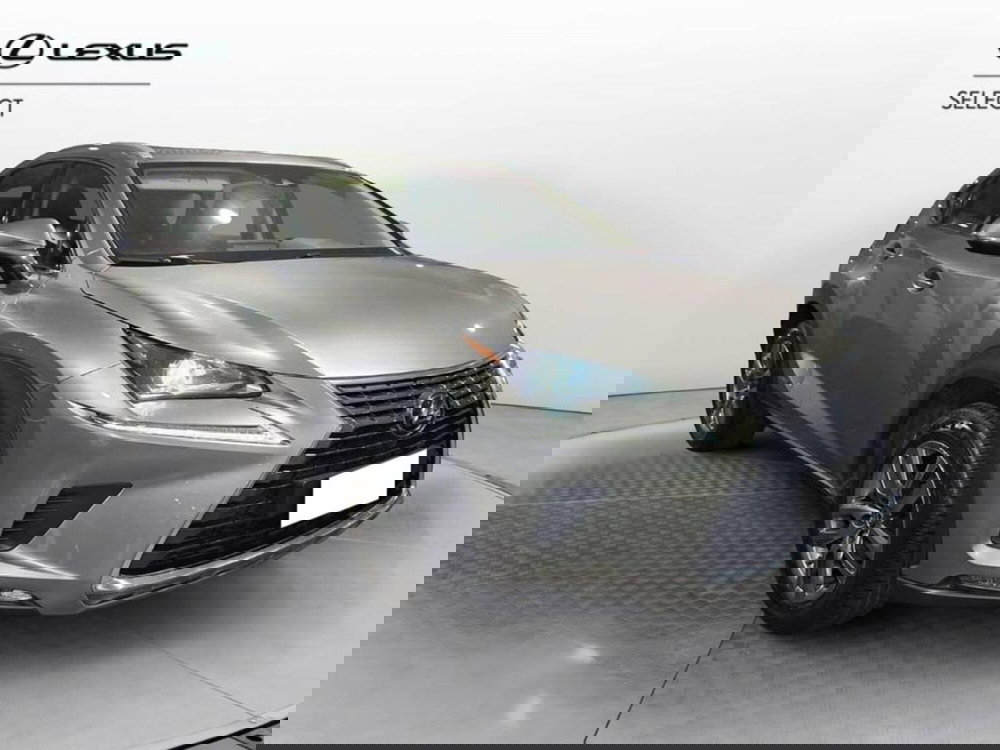 Lexus NX usata a Torino (3)