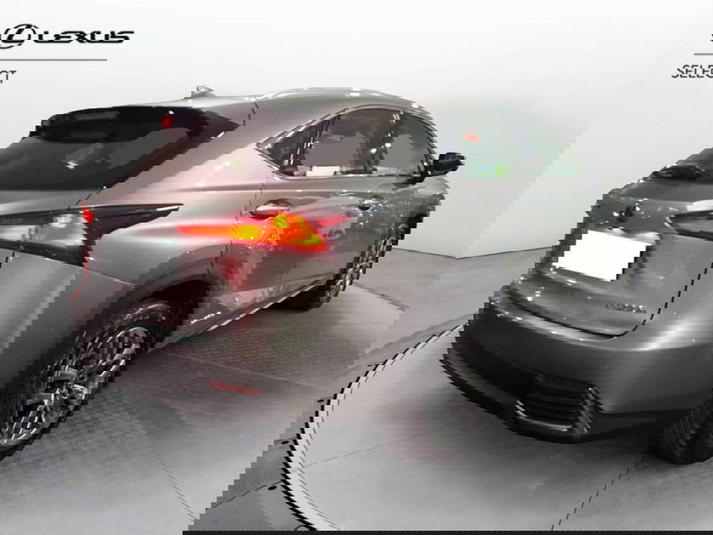 Lexus NX usata a Torino (4)