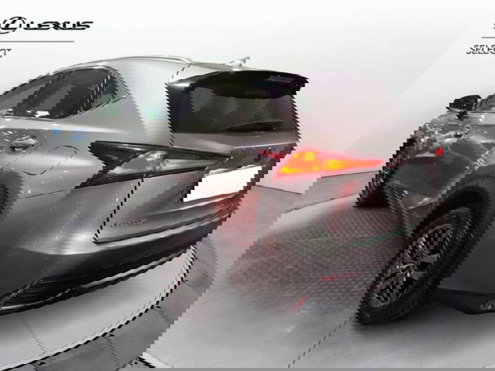 Lexus NX usata a Torino (5)