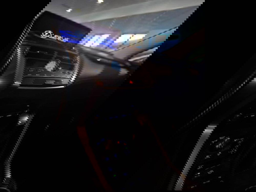 Lexus NX usata a Torino (9)