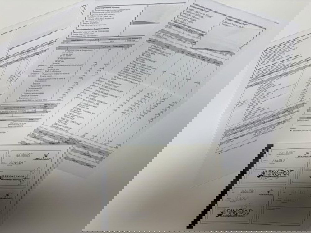 Maserati Grecale usata a Cuneo (15)