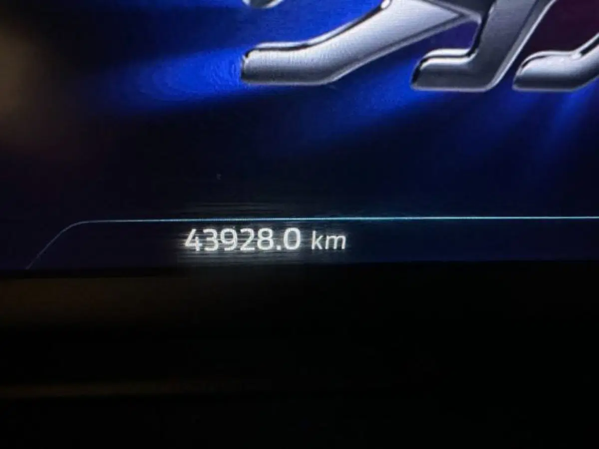 Ford Puma usata a Cuneo (17)