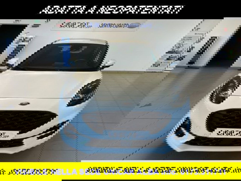 Ford Puma usata a Cuneo (2)