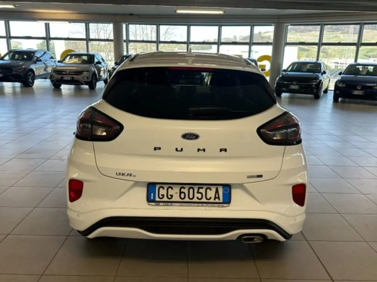Ford Puma usata a Cuneo (6)
