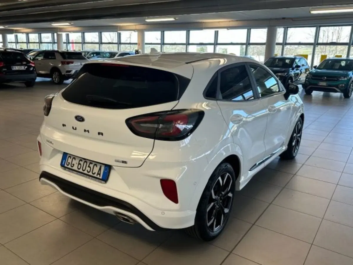 Ford Puma usata a Cuneo (7)