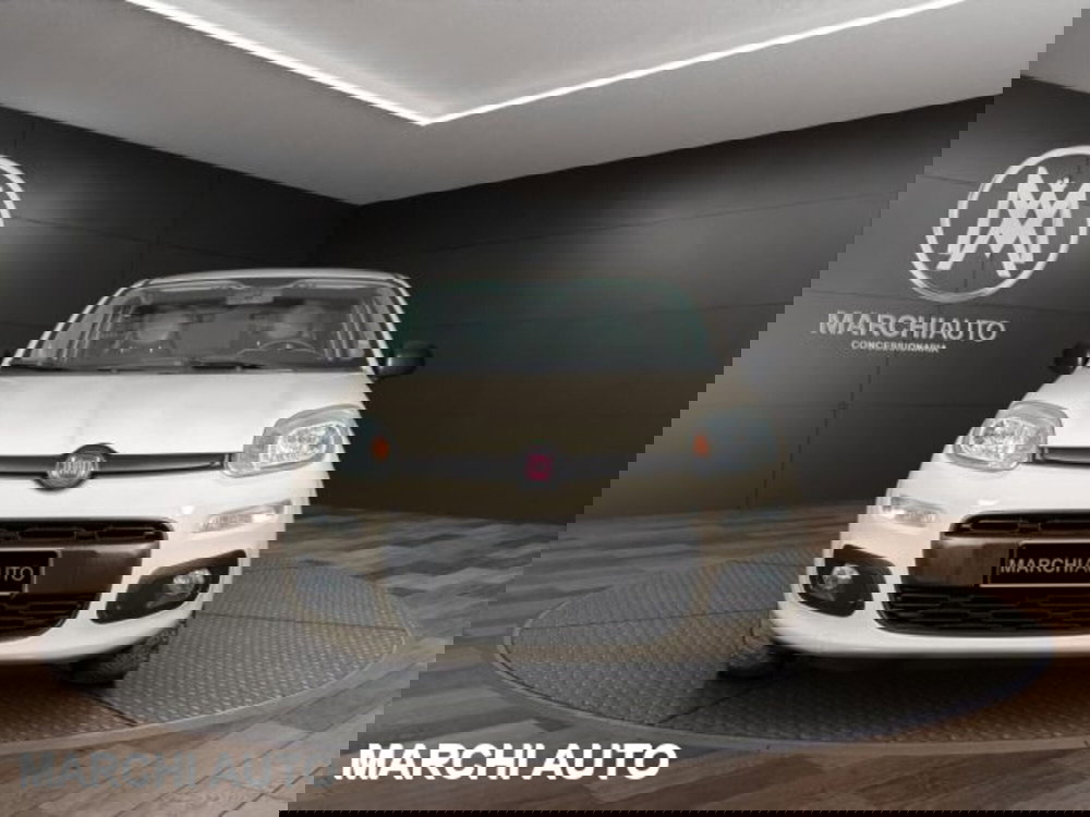 Fiat Panda usata a Perugia (2)