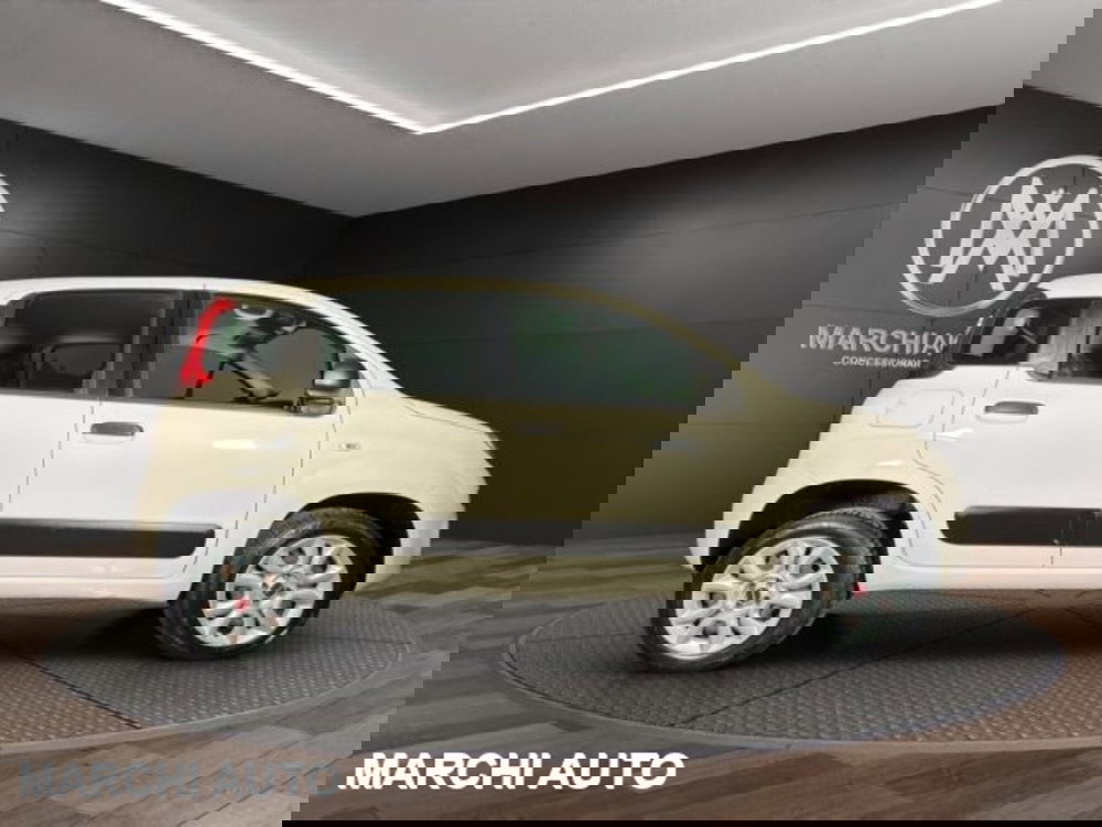 Fiat Panda usata a Perugia (4)