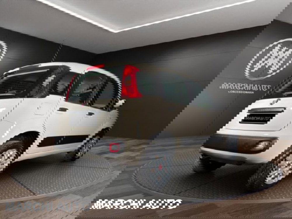 Fiat Panda usata a Perugia (5)