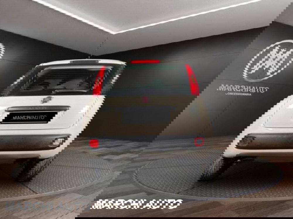 Fiat Panda usata a Perugia (6)