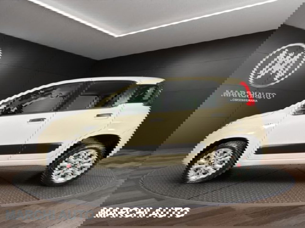 Fiat Panda usata a Perugia (8)