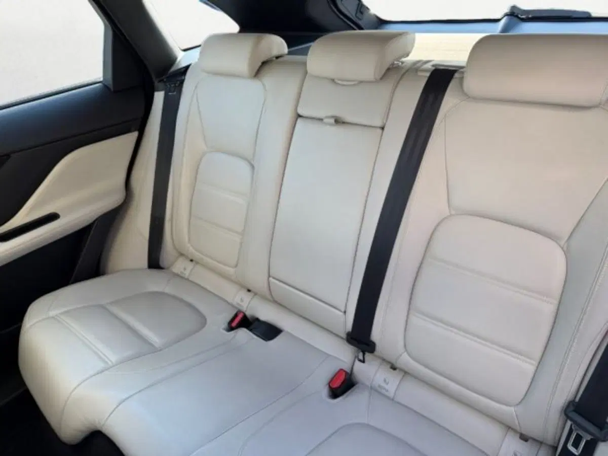 Jaguar F-Pace usata a Treviso (10)