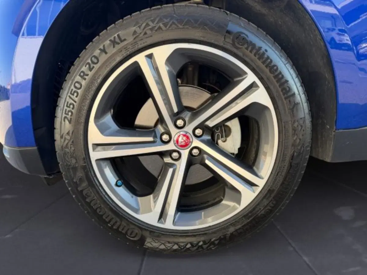 Jaguar F-Pace usata a Treviso (16)