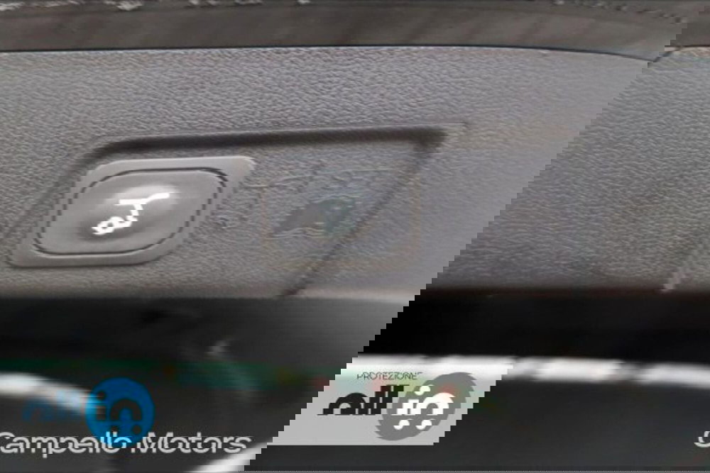 Ford Puma usata a Venezia (15)